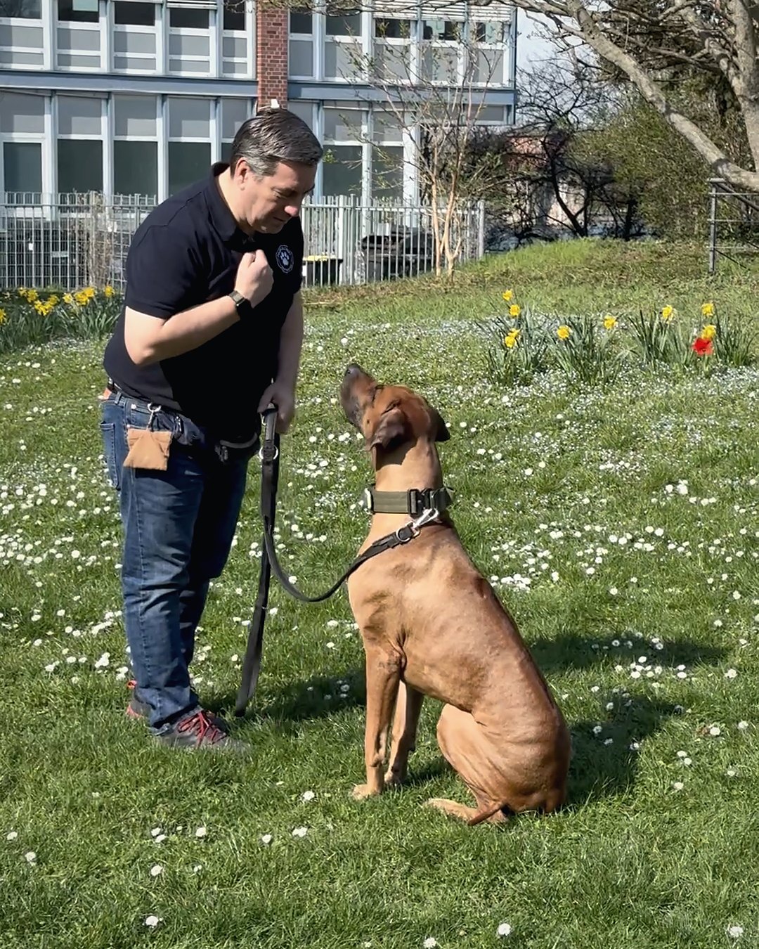 Ralph Kühnl im PAWCADEMY-Shirt beim Training mit seinem Hund auf einer Wiese