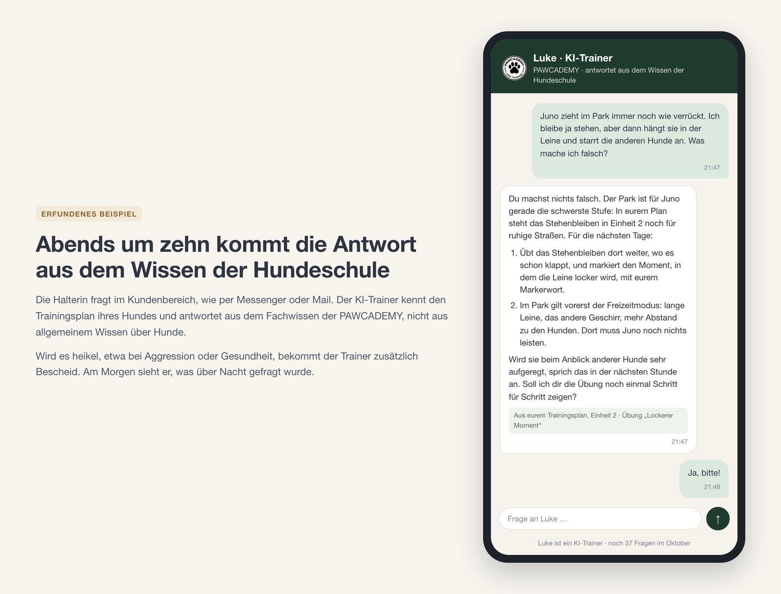 Ein erfundener Dialog mit dem KI-Trainer der Hundeschule